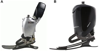 Free-Living User Perspectives on Musculoskeletal Pain and Patient-Reported Mobility With Passive and Powered Prosthetic Ankle-Foot Components: A Pragmatic, Exploratory Cross-Sectional Study